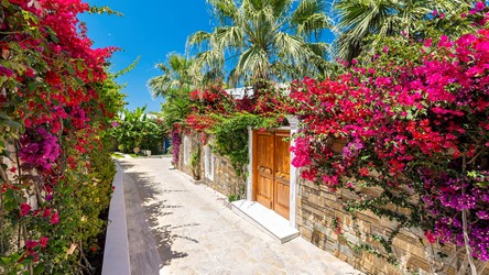 2800_13 -Lush gardens - Porto Zante.jpg